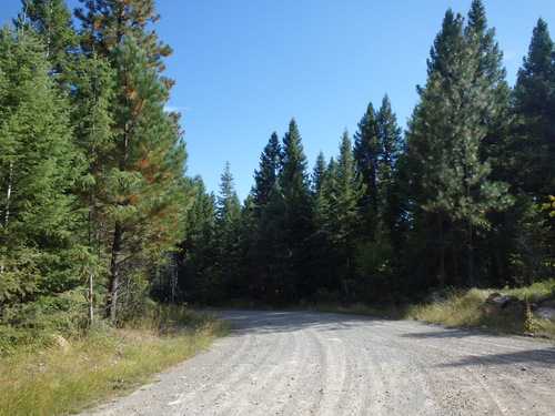 Cedar Creek Campground left and Fatty Creek is to the right.